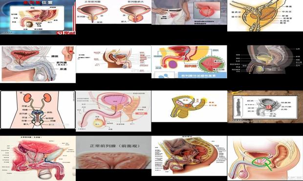 汕頭前列腺在哪