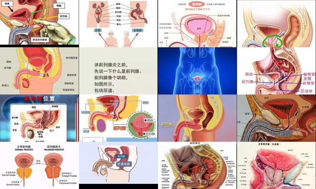 汕頭前列腺在什么位置